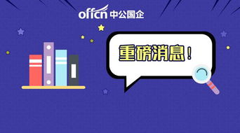 月薪3000-6000元加績效，無筆試計算機軟硬件開發崗位解析
